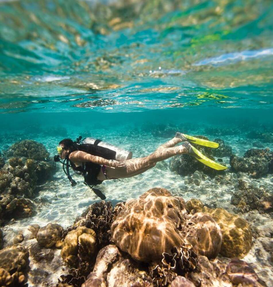 PADI Scuba Diver Bora Diving Center (by Eleuthera)