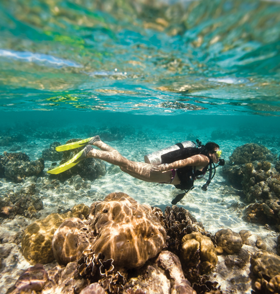 PADI Scuba Diver Eleuthera Tahiti Diving Center